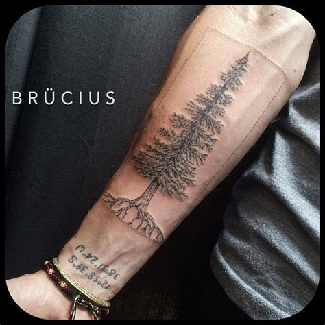 Arm Spruce Tattoo Tatuaje De árbol En El Brazo Tatuaje Arbol Y
