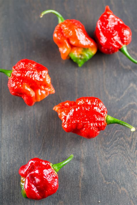 7 Pot Barrackapore Chili Pepper Chili Pepper Madness