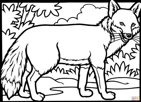 Red Fox Coloring Page Free Printable Coloring Pages
