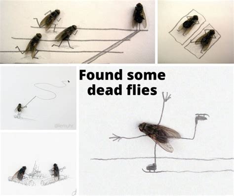 Heres Something To Do When Youre Bored Make Art With Dead Flies