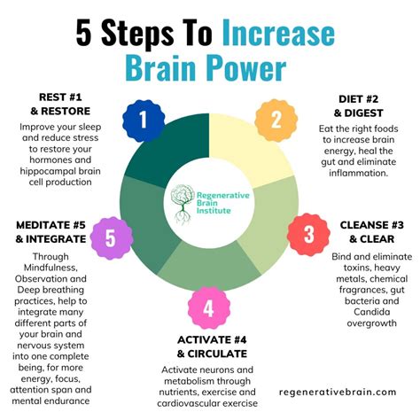 How To Increase Brain Power Regenerative Brain Institute