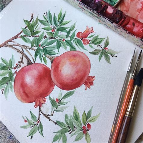 Watercolor Pomegranate Artwork Fruit Illustration Printable Etsy