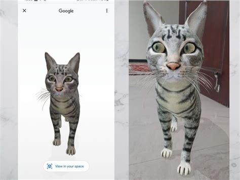 Google 3d animals how to watch 3d animal | tiger, duck, snake, pand all animals in your room. Google 3D Tigers | Google's AR animals: You can get a 3D ...