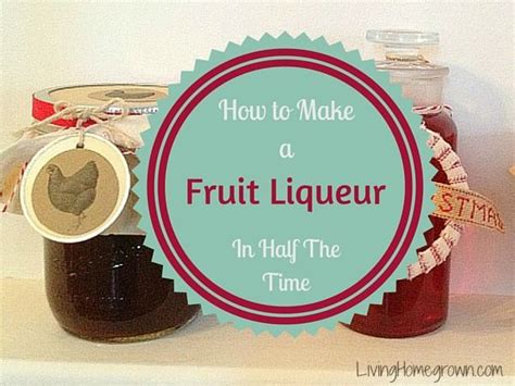 Make Fruit Liqueurs In Half The Time Liqueur Alcoholic Drinks Vodka
