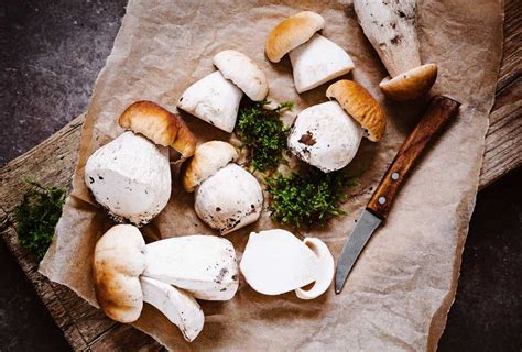 El plato es del blog cocina sin carné. Cómo cocinar boletus a la plancha si están congelados ...