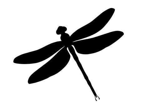 Black And White Dragonfly Silhouette Clipart Free 20 Free