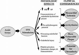 Impact Of Psychological Factors On The Pathogenesis Of Cardiovascular