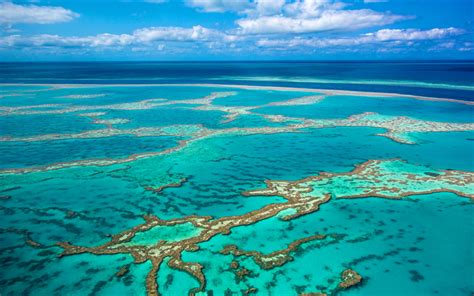 Download Wallpapers Great Barrier Reef 4k Coral Sea Whitsunday
