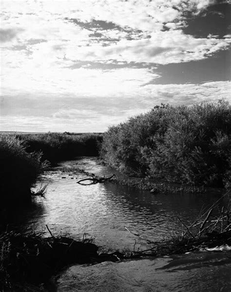 little colorado river in springerville arizona memory project