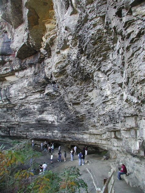 John Boyd Thacher State Park Manlius Formation Nys Dept Of