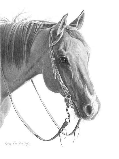 Pencil Drawings Of Quarter Horses Pencildrawing2019