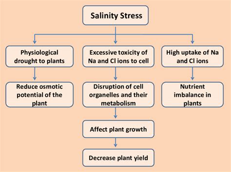 Effect Of Salt Stress On Plant Growth And Development Download