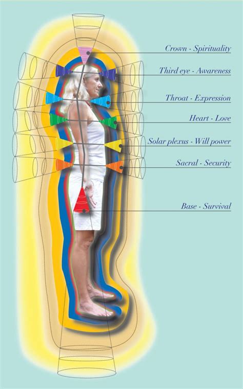 How Do The Aura And Chakras Function The Energy System
