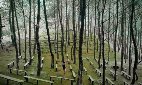 Farid azwarbike 2 months ago. Wisata Alam Bakukung Cianten Bogor nan Sejuk - Destinasi ...