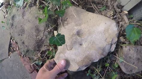 Southeast Native American Artifacts Southeast Texas Wilson Found On