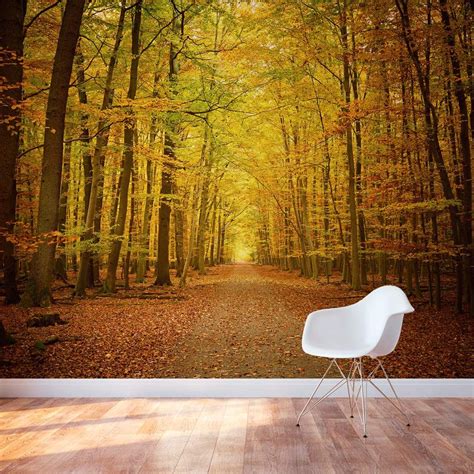 Autumn Forest Path Wall Mural Large Wall Murals Wall Murals Tree