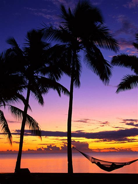Free Download Tropical Island Sunset Photos Tropical