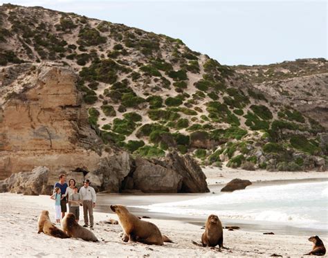 Why You Must Visit Kangaroo Island South Australia Australia One