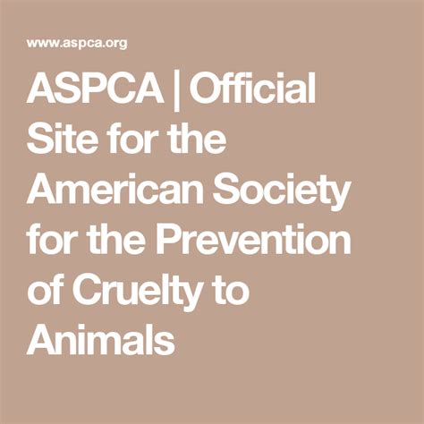 Aspca Official Site For The American Society For The Prevention Of