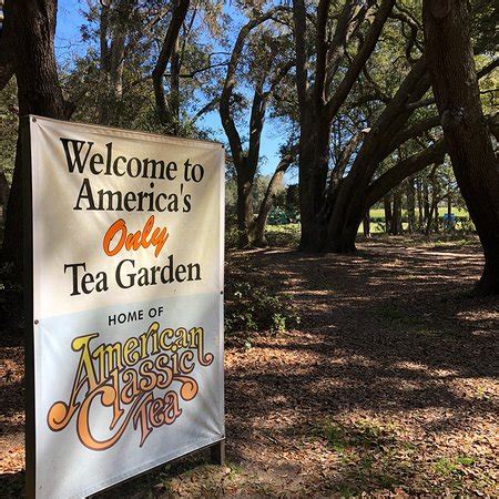 So if you're looking for a great place to go with the whole family, enjoy a weekend filled with culture here. Charleston Tea Plantation (Wadmalaw Island) - All You Need ...