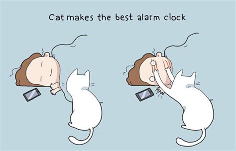 Funny cats funny animals cute animals. Cute Cat Comics - 33 Pics - FunnyFoto