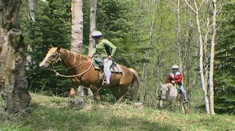 Colorado Horseback Riding With Arkansas Valley Adventures Ava Youtube