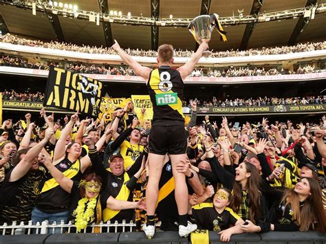 We did not find results for: AFL Grand Final 2019 best photos, Richmond Tigers vs GWS ...