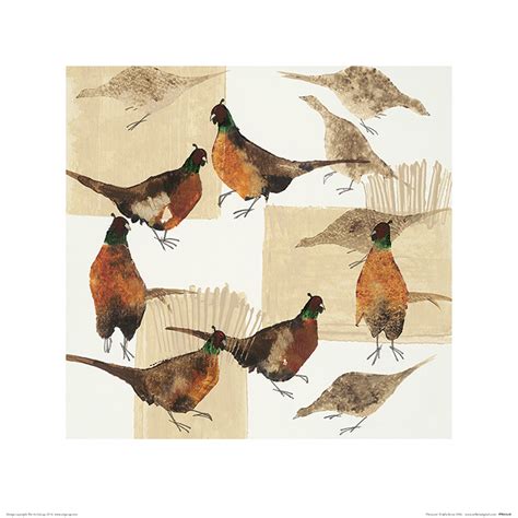 Julia Burns Pheasants Art Print The Art Group