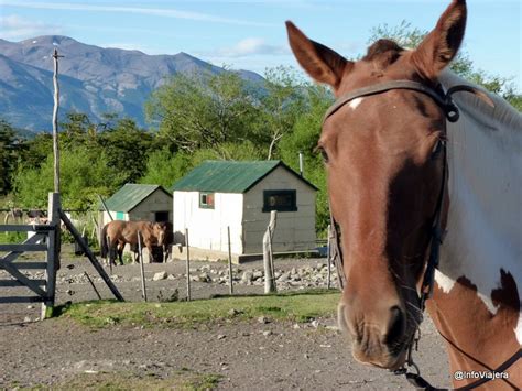 Un Día En La Estancia Patagónica Nibepo Aike De El Calafate Info Viajera