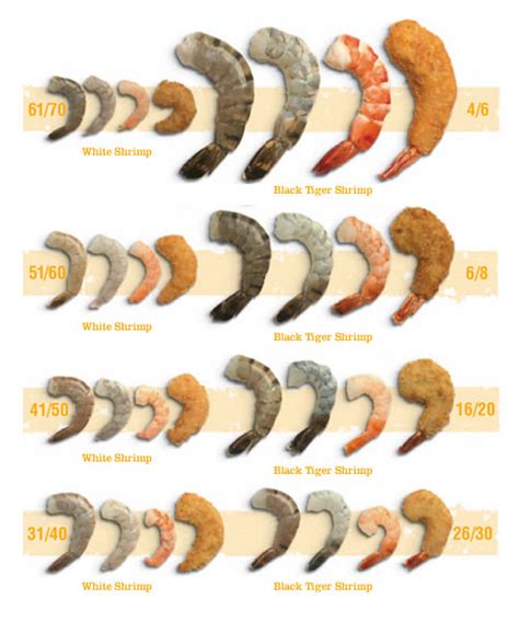 Actual Size Shrimp Size Chart
