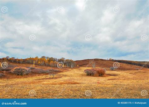 The Grassland Autumn And Cloudscape Stock Image Image Of Bashang