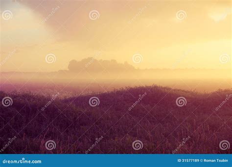 Sunset Over Forest With Fog Stock Image Image Of Dusk Scenery 31577189