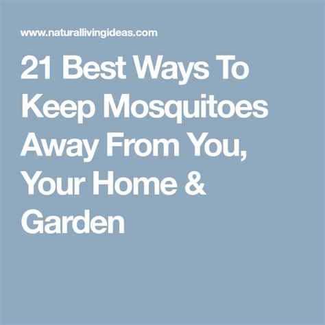 21 Best Ways To Keep Mosquitoes Away From You Your Home And Garden
