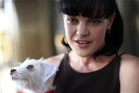 After Assault Tweets Pauley Perrette Of ‘ncis Thanks Cbs New