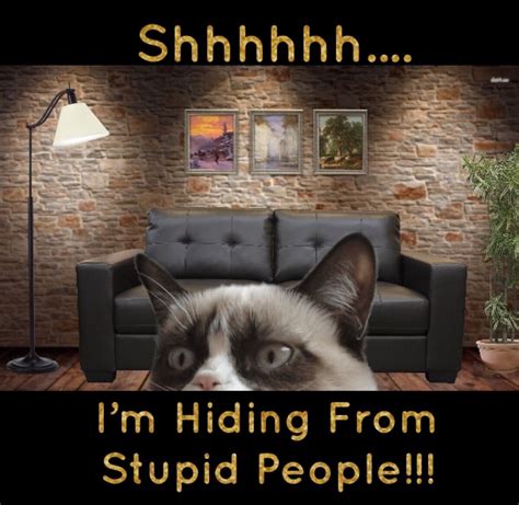 Hiding Meme Funny A Hilarious Way To Make Your Day