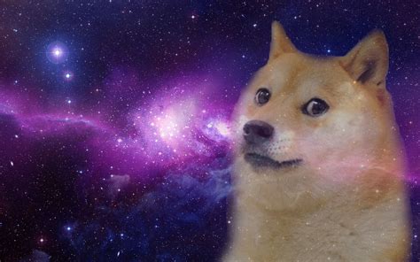 Doge Space Wallpaper