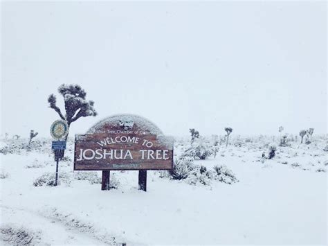 Rare Snowfall Covers In Las Vegas Los Angeles And Joshua Tree