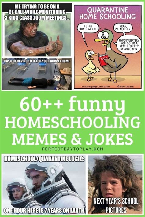 60 Absolutely Hilarious Homeschool Memes Jokes And Cartoons For Moms