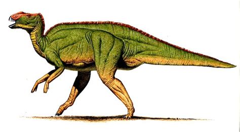Hadrosaurus Pictures And Facts The Dinosaur Database