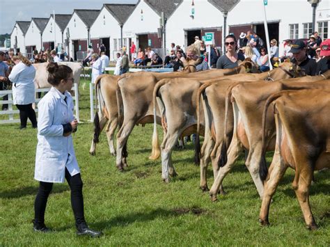 Great Yorkshire Show 2017