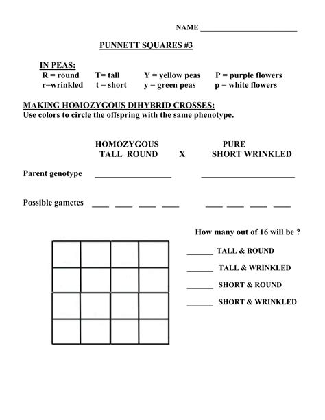Punnett square are used to predict the possibility of different outcomes. Collection of Dihybrid Crosses Worksheet - Bluegreenish
