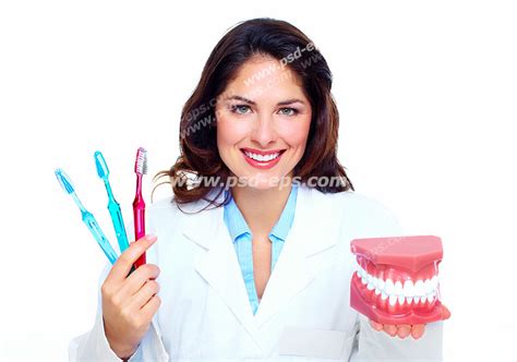 عکس با کیفیت تبلیغاتی خانم دندان پزشک با ماکت دندان های دو فک در یک دست و سه مسواک در دست دیگر