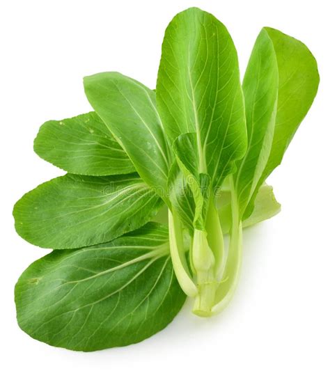 Bok Choy Chinese Cabbage On White Stock Photo Image Of Leaf Diet