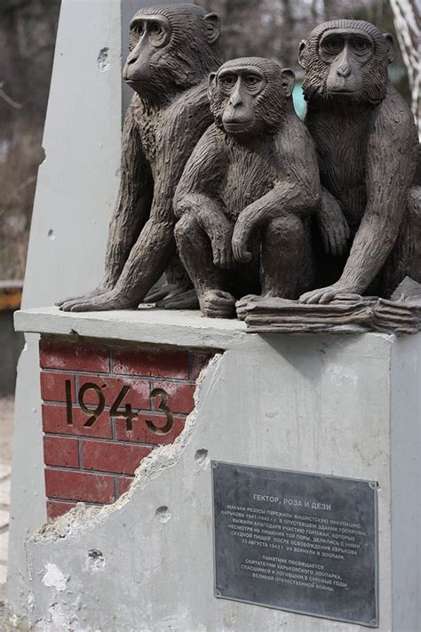 Отметим, харьковский зоопарк — один из самых ожидаемых в городе объектов, который сейчас находится на масштабной реконструкции. Харьковский зоопарк: история, животные зоопарка, адрес и фото