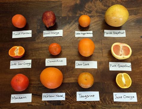 Guide Types Of Oranges Grappler Gourmet