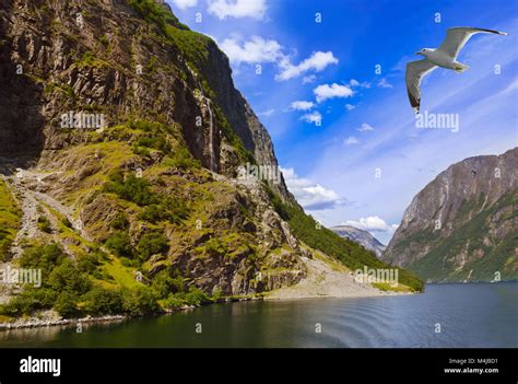 Fjord Naeroyfjord In Norway Famous Unesco Site Stock Photo Alamy