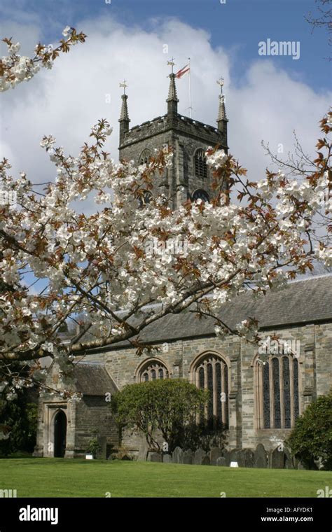 Tavistock Parish Church And Cherry Blossom Stock Photo Alamy