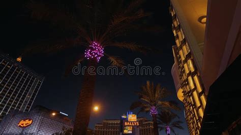 Palm Trees At The Cromwell Hotel Las Vegas By Night Las Vegas Nevada