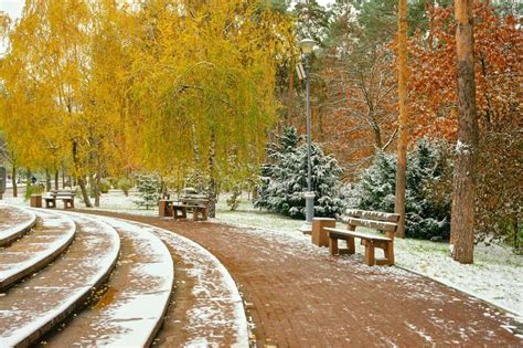 First Snowfall In Bright Colorful City Park In Autumn Lonely Bench On