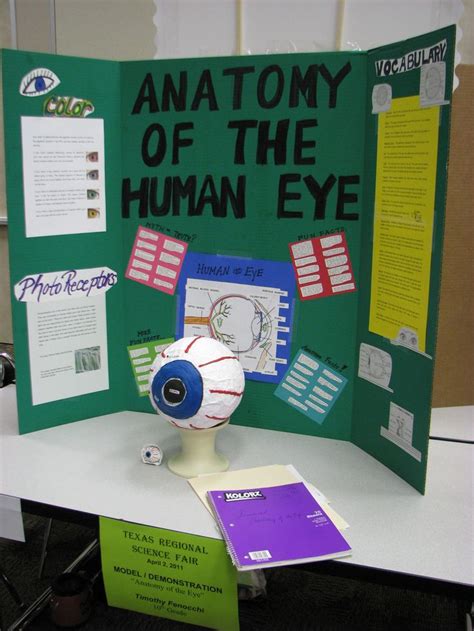 Pin By M Abdelahzadeghan On Science Fair Science Fair Projects
